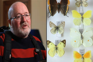 A 68-year-old enthusiast from New Zealand donated the world's largest collection of butterflies to a museum in New Zealand due to his illness.