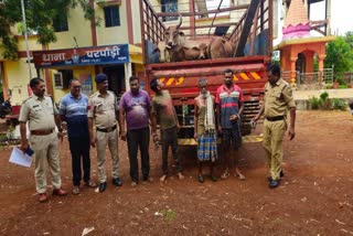 cattle smugglers arrested in Bemetara