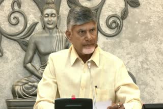 CM Chandrababu on YS Jagan Mohan Reddy