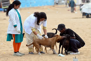 World Rabies Day is celebrated every year on September 28