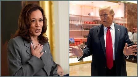 kamala harris Vs Donald Trump