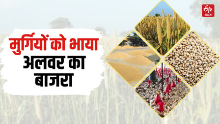 Millet In Alwar