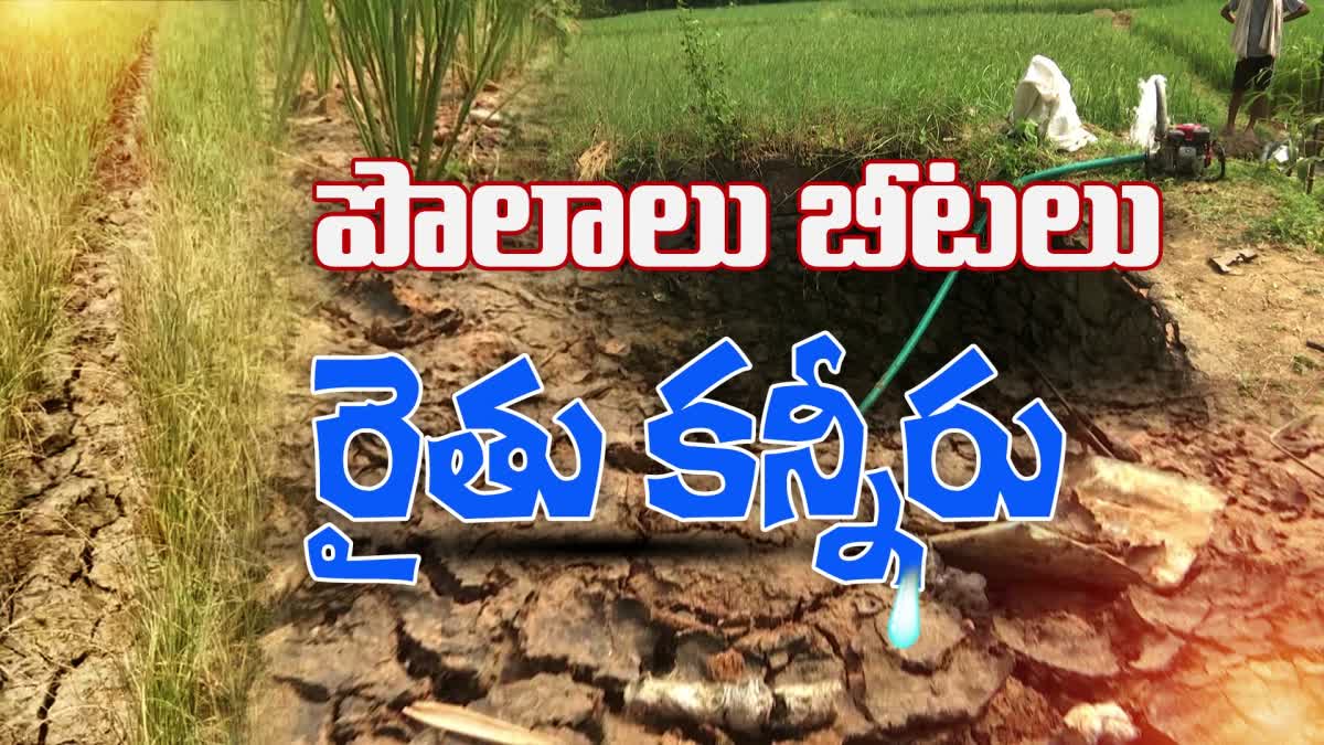 Vizianagaram Farmers Fear Severe Crop Loss