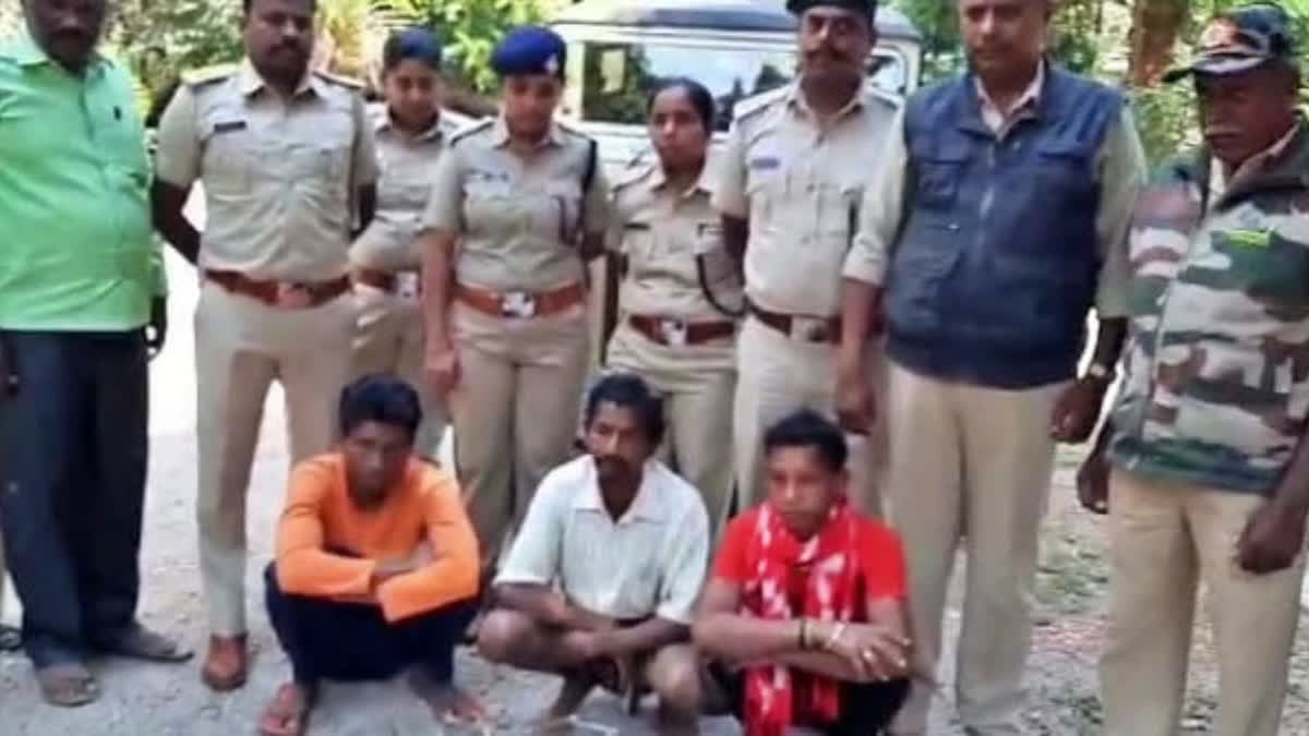 Karnakata: 3 Odisha residents arrested for hunting and eating peacocks