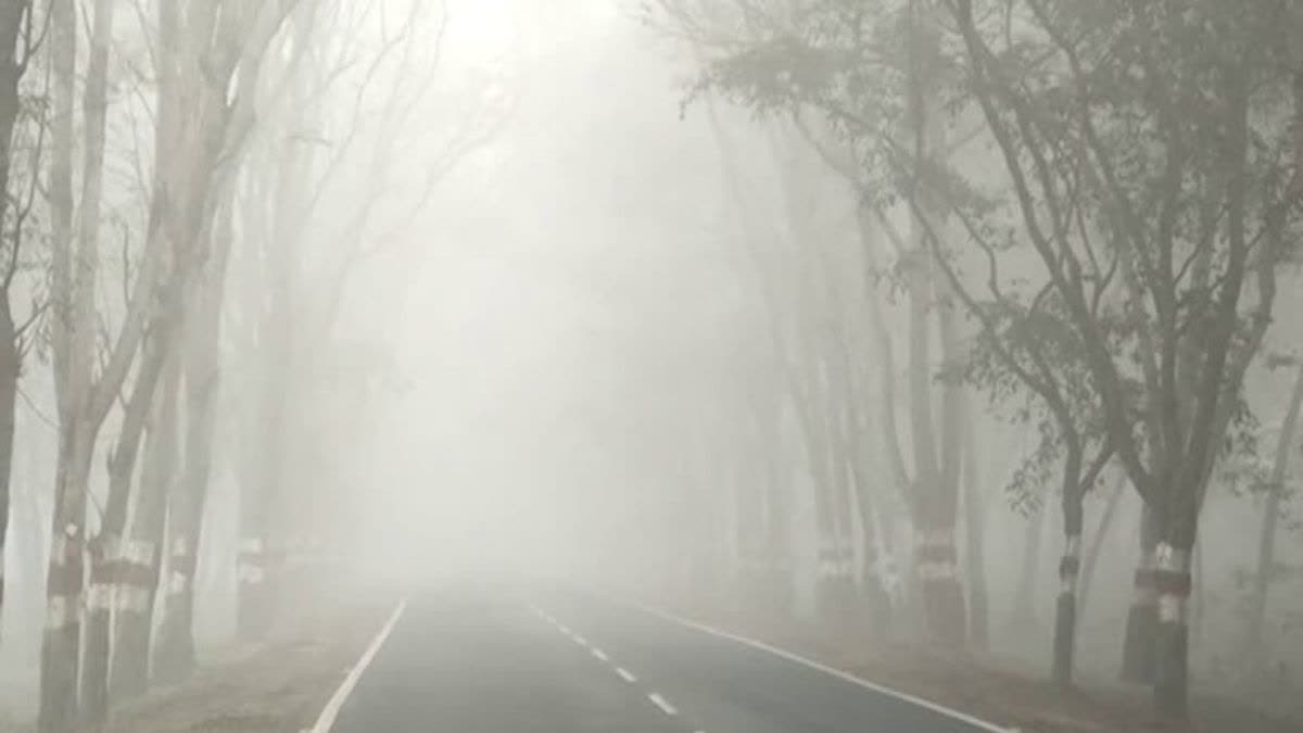 Cold wave hits Chhattisgarh