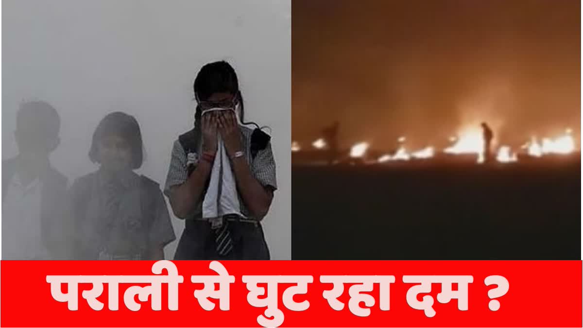 Parali Pollution Problem Haryana  Punjab farmers stubble burning cases reported New Delhi City NCR Delhi AQI Air Pollution Dussehra  air quality index Poisonous  Air