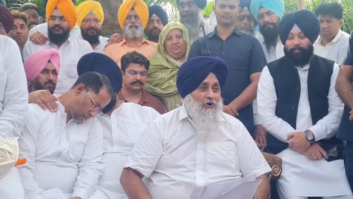 Shiromani Akali Dal president Sukhbir Badal slam on the Chief Minister Mann in amritsar
