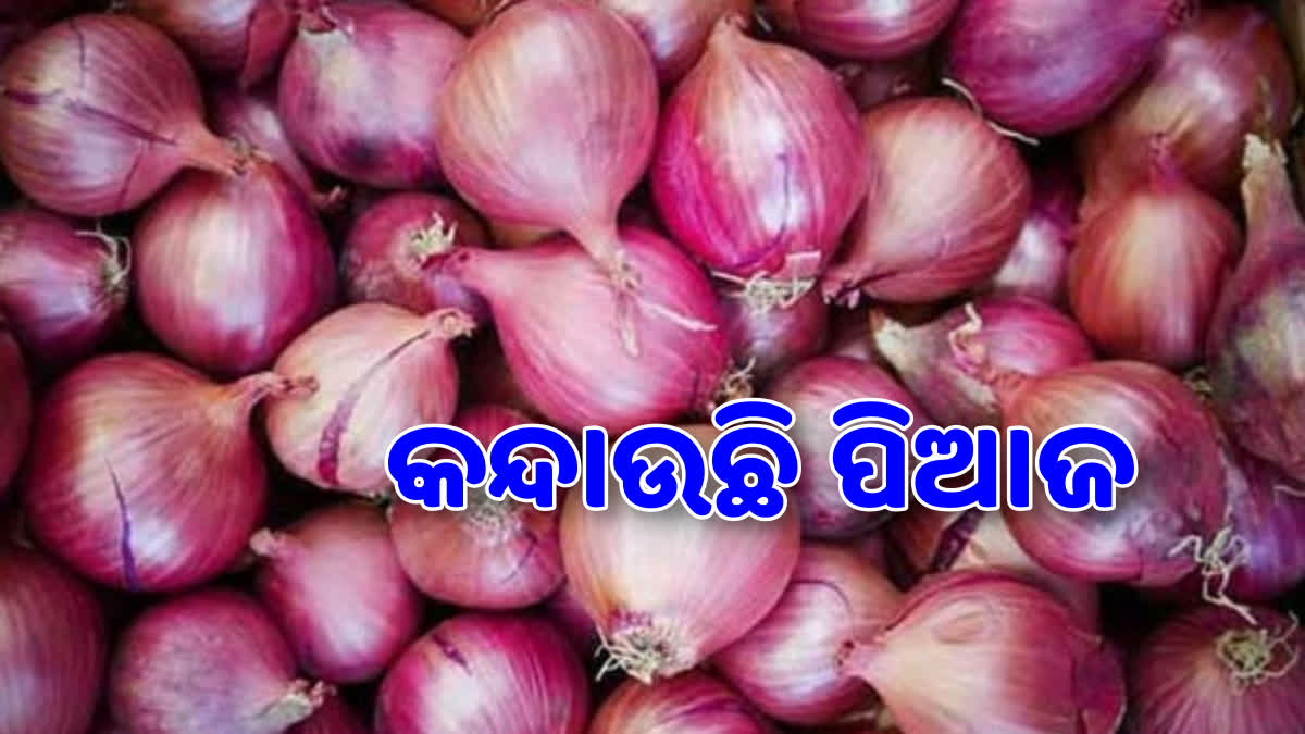 Onion Price Hike