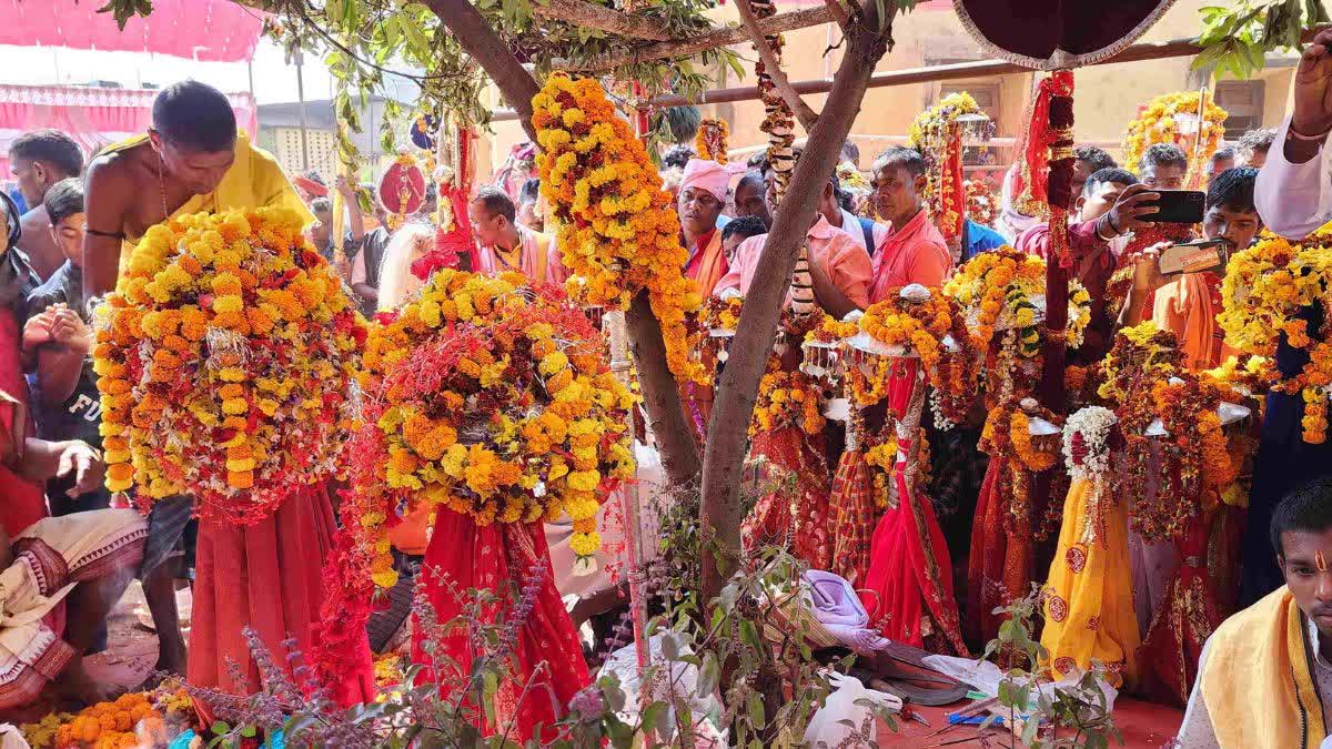 Bastar Dussehra Kutumb Jatra