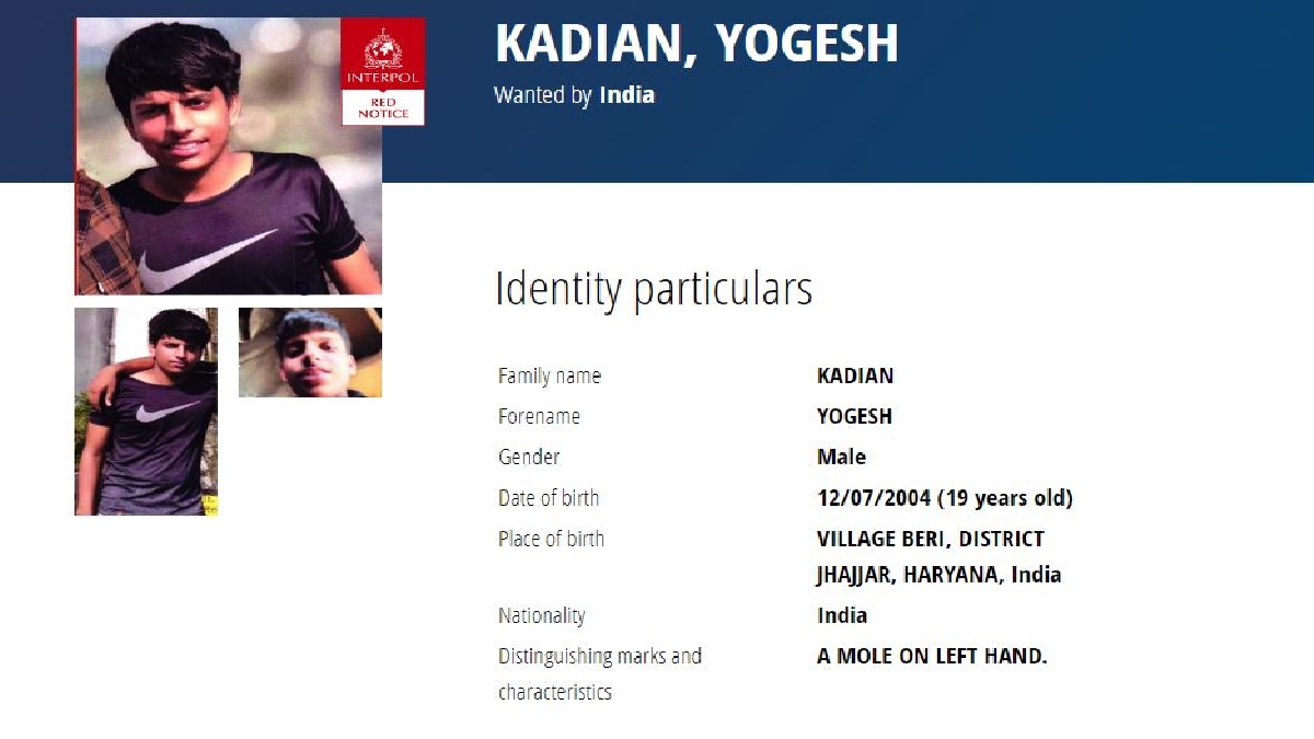 Who is gangster Yogesh Kadian