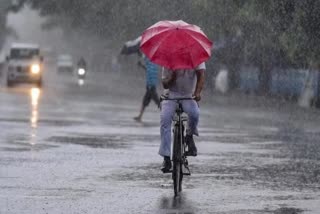 weather update  Widespread rain is likely in the state today  കേന്ദ്ര കാലാവസ്ഥ വകുപ്പ്  യെല്ലോ അലേർട്ട്  Yellow Alert  Central Weather Department  മഴ മുന്നറിയിപ്പ്‌  Kerala Weather Update  ഉയർന്ന തിരമാലയ്ക്കും കടലാക്രമണത്തിനും സാധ്യത  Chance of high waves and Sea attack