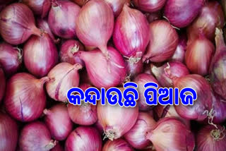 Onion Price Hike