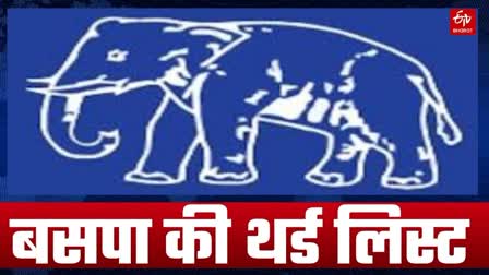 BSP Third List In Rajasthan