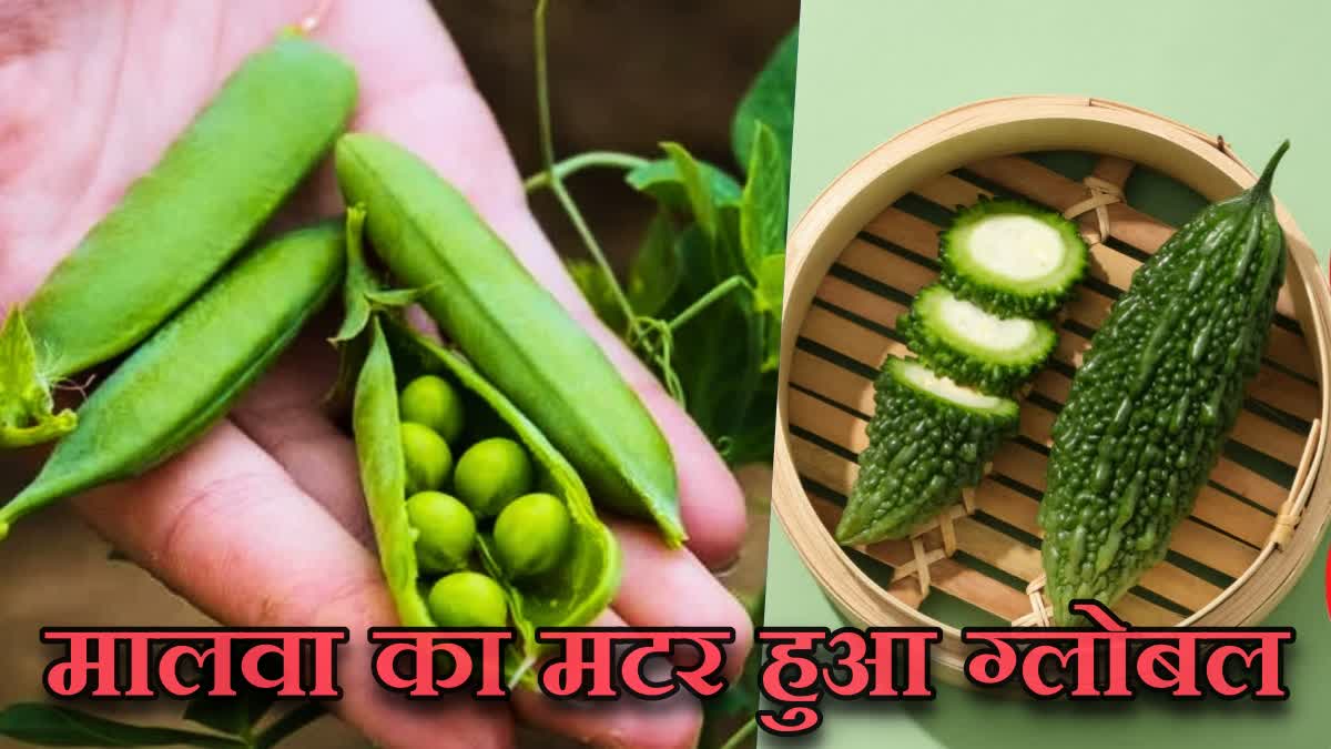 Dubai residents will taste Malwa peas and bitter gourd