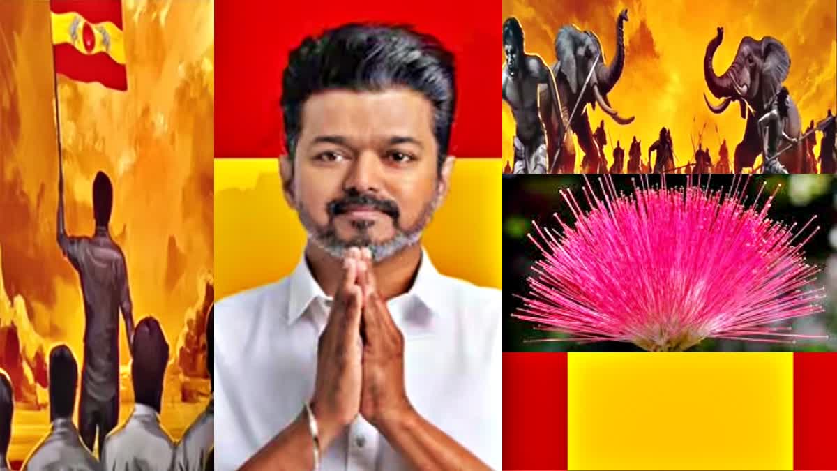 tvk flag explained by leader vijay news thumbnail