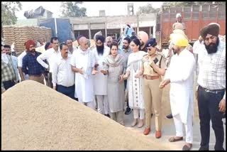 DR SONA THIND INSPECTED MARKETS