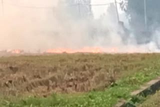 Farmers are burning stubble in the fields