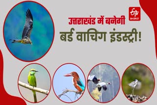 UTTARAKHAND BIRD WATCHING INDUSTRY