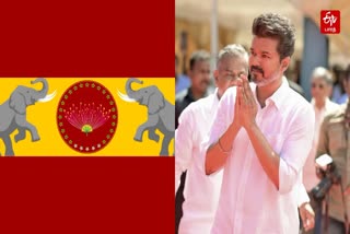 தவெக கொடி, கட்சித் தலைவர் விஜய்