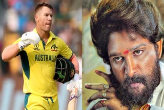 Allu Arjun David Warner