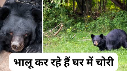 TERROR OF BEARS IN KHONGAPANI