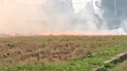 Farmers are burning stubble in the fields