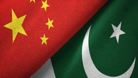 Pakistan FM Aurangzeb expressed gratitude to China for its steadfast support in Pakistan's socio-economic development and its assistance in securing the IMF's Extended Fund Facility.