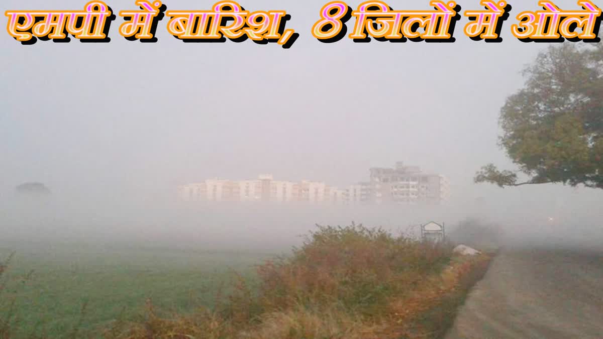 MP weather update Rain in most of districts of MP