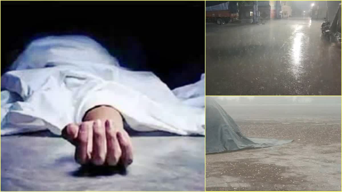 Gujarat Rains Death Toll 20 Died Due To Heavy Rains