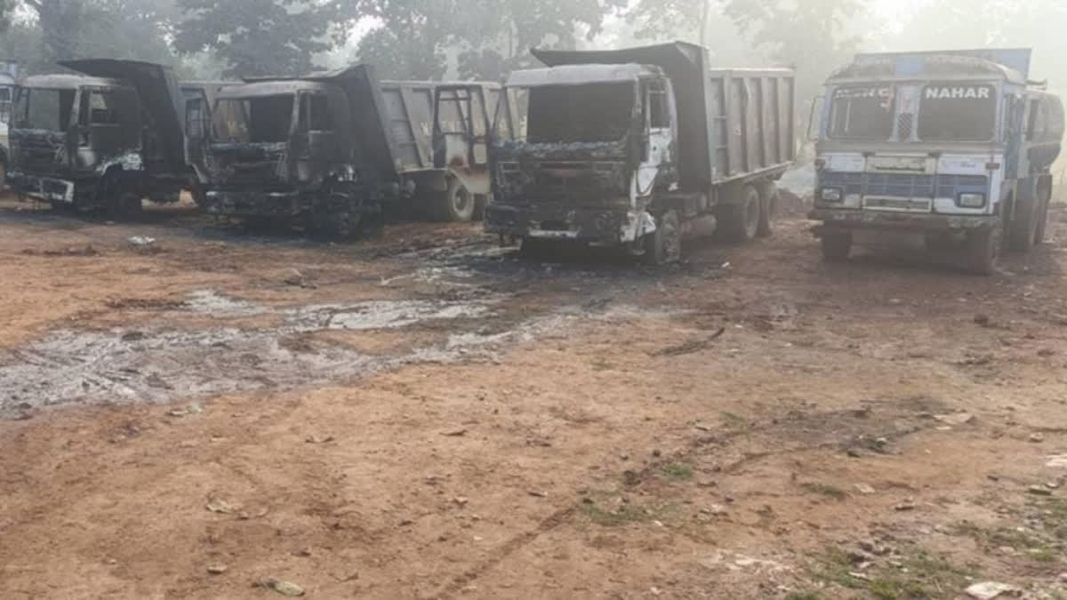 In a major incident, Naxalites have again shown their terror in the Dantewada district of Chhattisgarh by setting one and a half dozen vehicles on fire which belonged to a private construction company