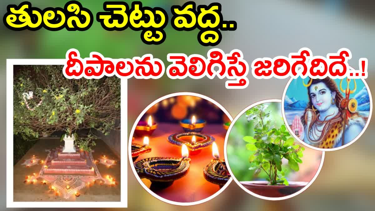 Benefits Of Lighting Lamps At Tulsi Tree