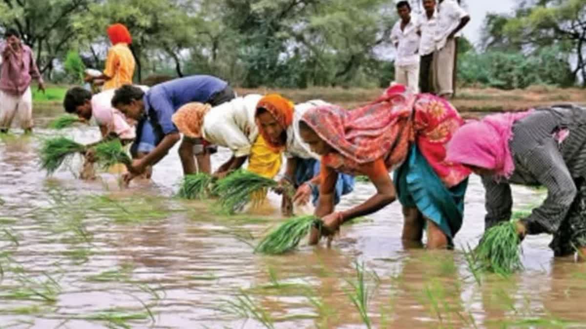 Rythu Bandhu aid in Telangana