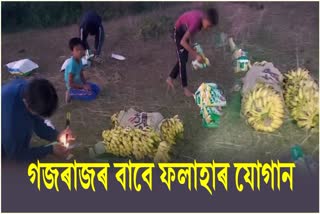 Nagaon Villagers supply fruits for elephants