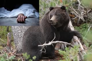 Man_Killed_by_Bear_Attack_at_Zoo_Park_in_Visakha