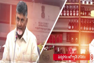 Chandrababu Anticipatory Bail in Liquor Case