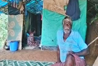 Misery In Tribal Colony Malakkappara  Malakkappara Tribel Village  അതിരപ്പിള്ളി മലക്കപ്പാറ ആദിവാസി  ആദിവാസി ഊര്  മലക്കപ്പാറ ആദിവാസി ഊര്  Kerala Tribe Difficulties  Kerala Tribal People  Kerala Tribal Community