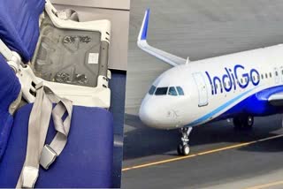 IndiGo passenger experienced an unexpected situation  Seat Cushion Of Indigo Airlines Missinng  Indigo airlines  Indigo Seat  Indigo airlines seat  indigo cushion  ഇൻഡിഗോ കുഷ്യൻ  ഇൻഡിഗോ എയര്‍ലൈന്‍സ്  സുബ്രത് പട്‌നായിക്  Indigo Airlines Criticism