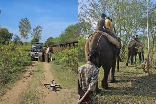 ಅರಣ್ಯ ಇಲಾಖೆಯಿಂದ ಹುಲಿ ಸೆರೆ ಕಾರ್ಯಾಚರಣೆ