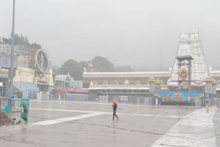 rain_incessantly_in_tirumala