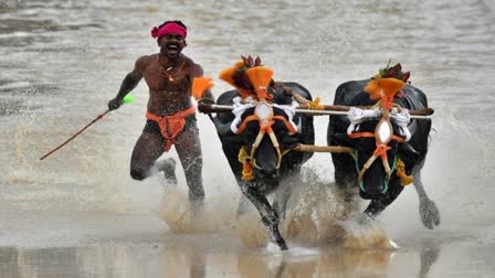 Bengaluru kambala 2023