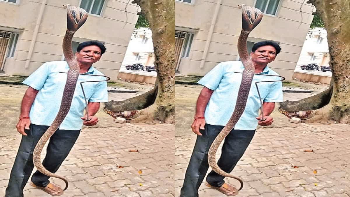 Huge Snake found in Tirumala