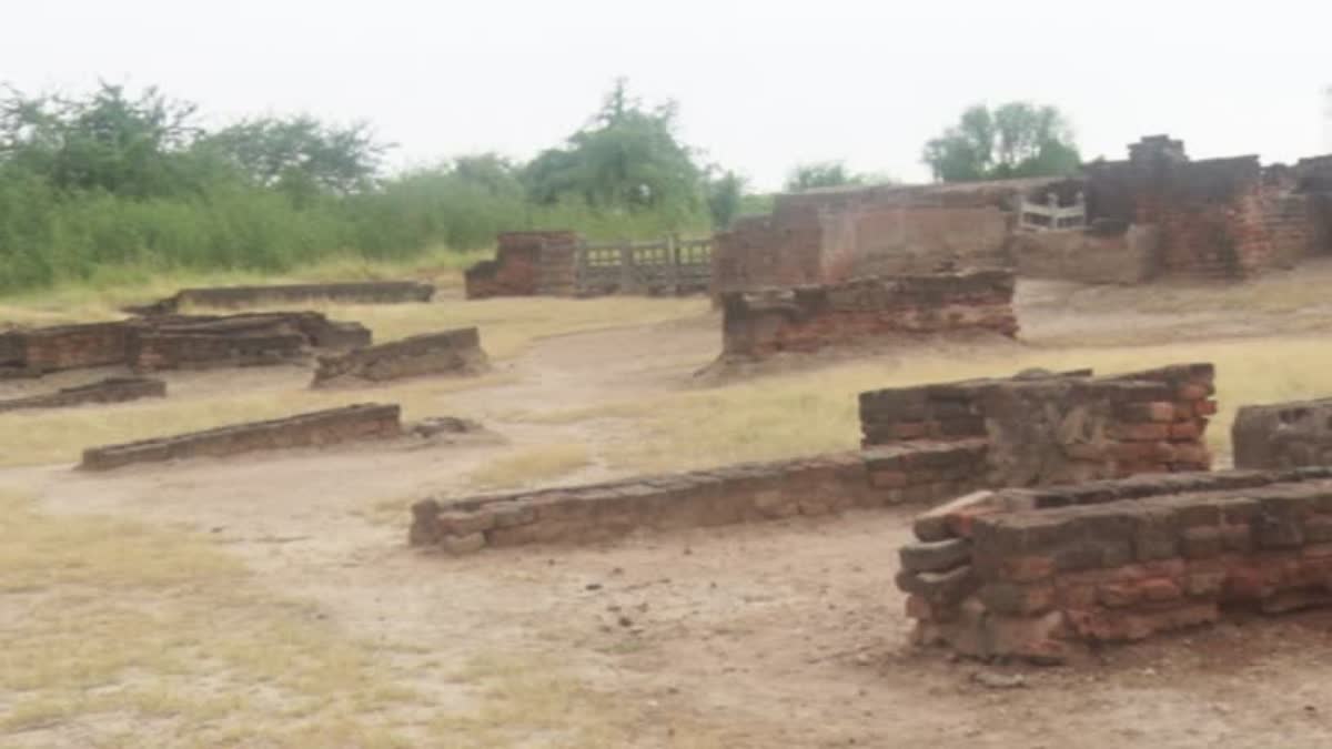 IIT Delhi research student killed at ancient Indus Valley civilization site in Lothal Gujarat