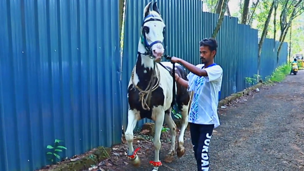 VIGNESH VIJAYAKUMAR  വ്യവസായി വിഘ്നേഷ് വിജയകുമാർ  HORSE RIDING  KERALA TOURISM