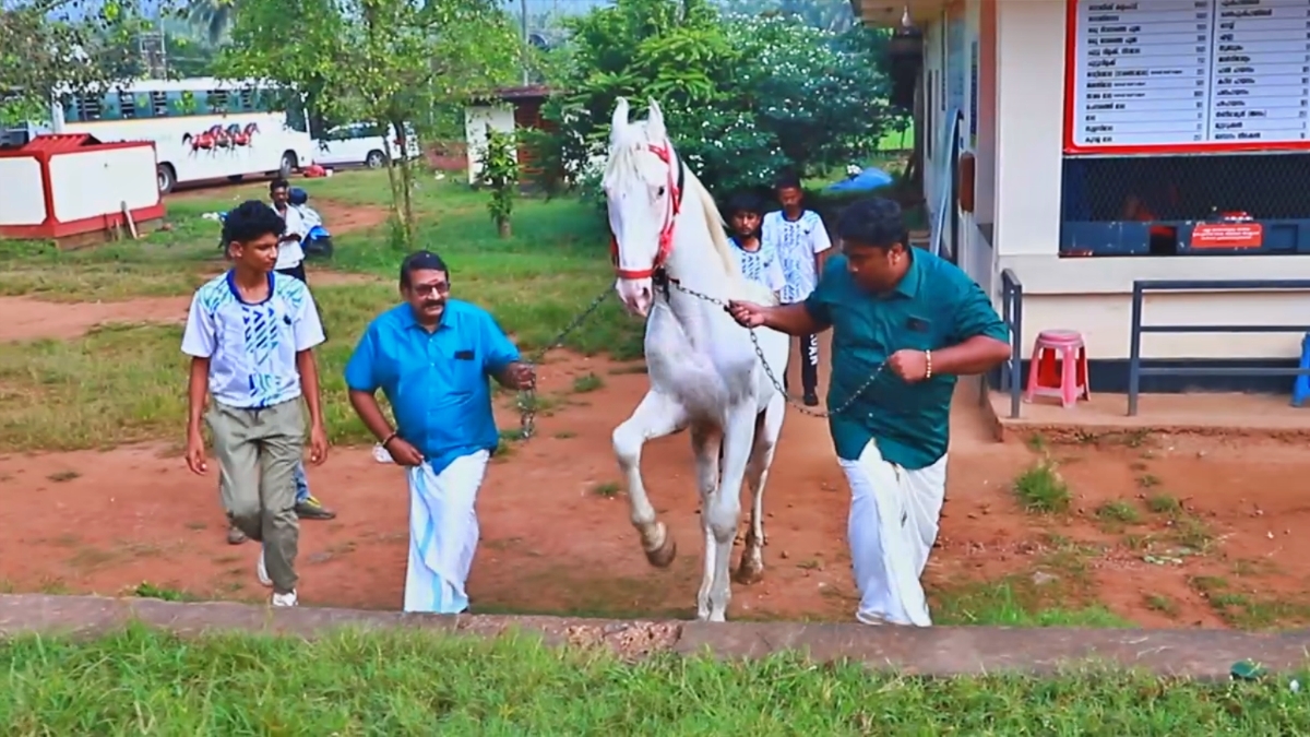 VIGNESH VIJAYAKUMAR  വ്യവസായി വിഘ്നേഷ് വിജയകുമാർ  HORSE RIDING  KERALA TOURISM