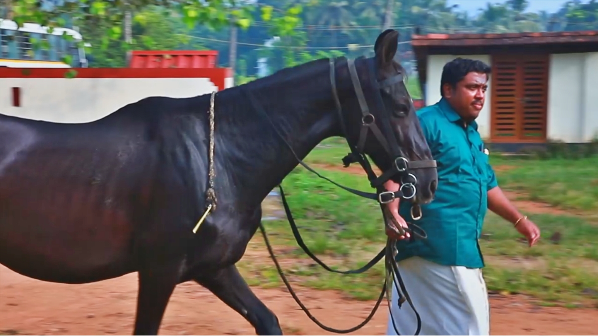 VIGNESH VIJAYAKUMAR  വ്യവസായി വിഘ്നേഷ് വിജയകുമാർ  HORSE RIDING  KERALA TOURISM