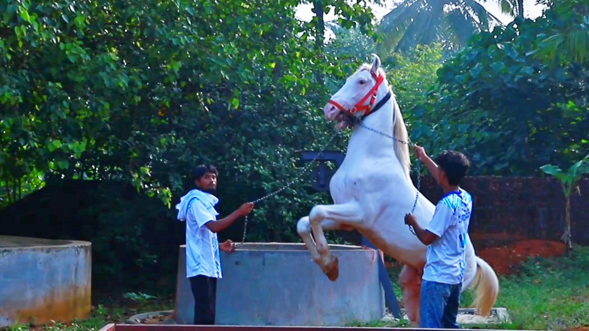 VIGNESH VIJAYAKUMAR  വ്യവസായി വിഘ്നേഷ് വിജയകുമാർ  HORSE RIDING  KERALA TOURISM