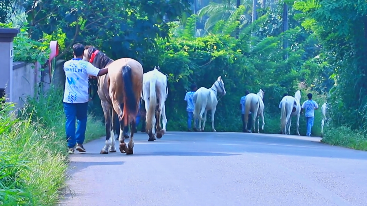 VIGNESH VIJAYAKUMAR  വ്യവസായി വിഘ്നേഷ് വിജയകുമാർ  HORSE RIDING  KERALA TOURISM