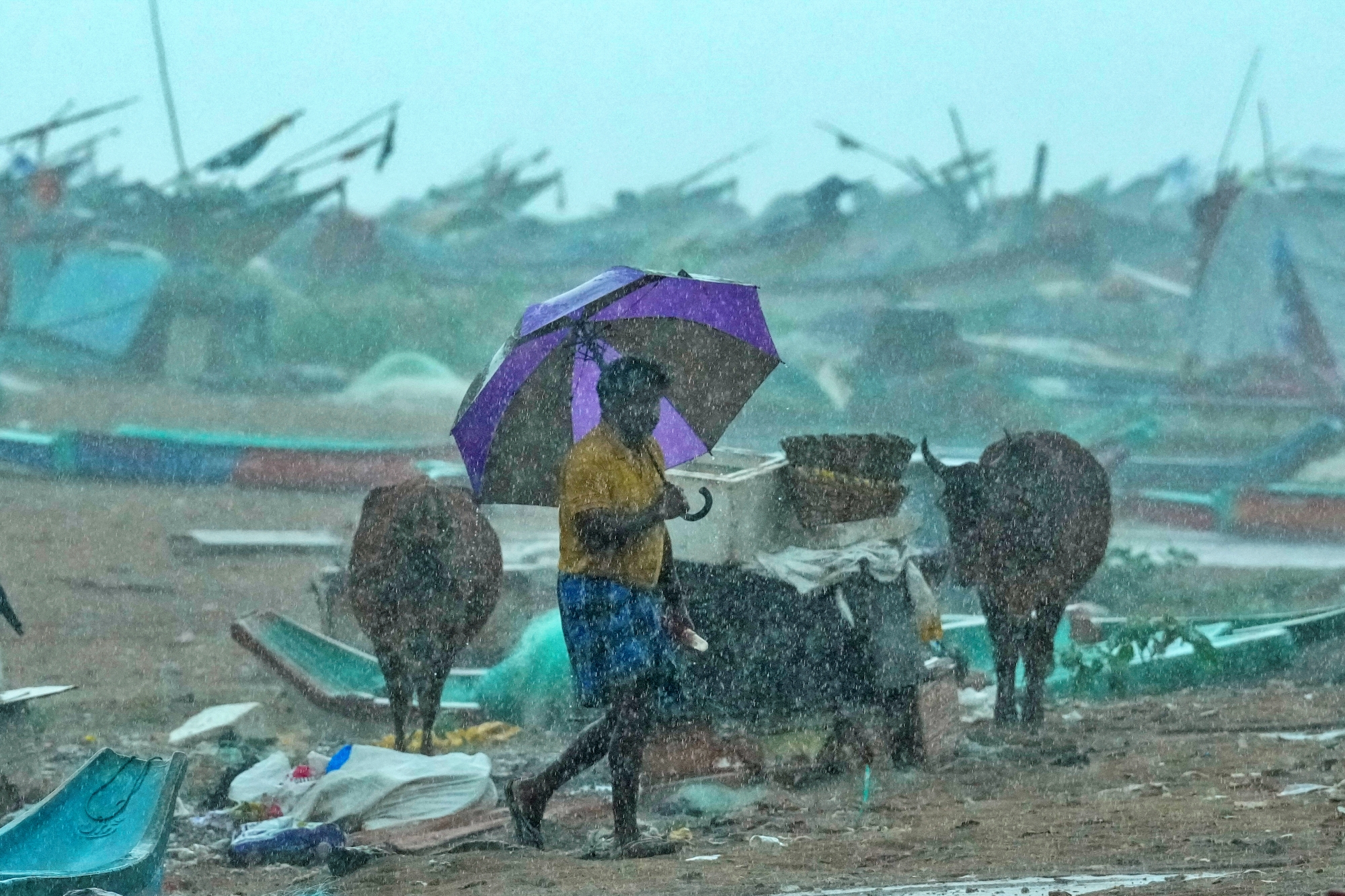 Tamil Nadu is bracing itself against the onslaught of Cyclone Fengal, which is intensifying into a severe cyclonic storm. Authorities in the southern state have declared a holiday for schools in 15 districts including Chennai, Chengalpattu, Thiruvallur, Viluppuram, and others.