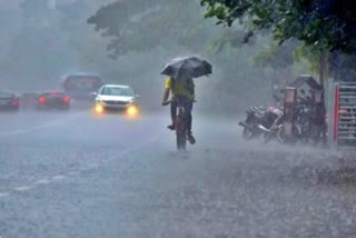 Cyclone Fengal  LIVE Update IMD Red Alerts In Tamil Nadu