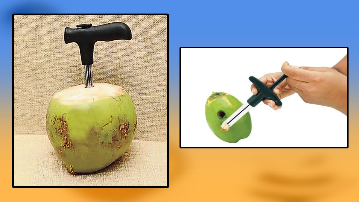 Coconut Opener